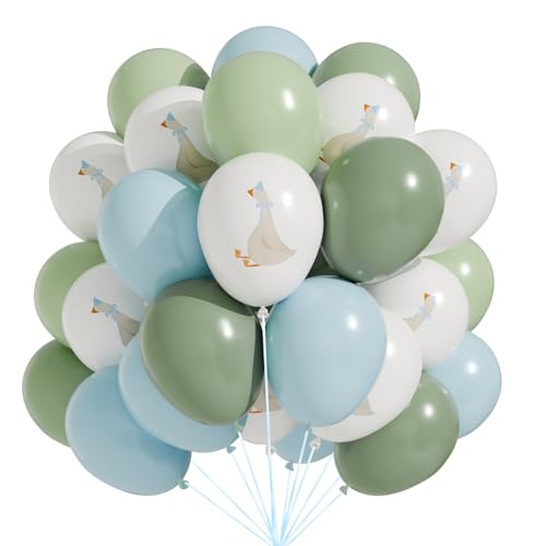 Motionchic 60 Pcs Bow Goose Balloons Set 12 Inch Pastel Pink Latex Balloons One Silly Goose Birthday Party Decorations Baby Shower DecorBlue - Image 1