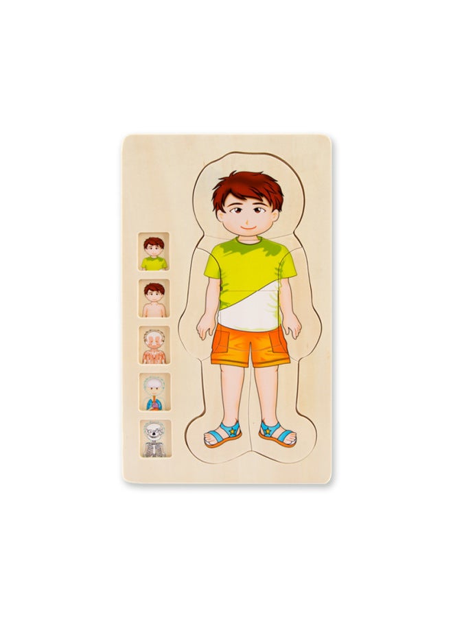 Onshine Five-storey Boys' And Girls' Human Body Structure Puzzle Children's Body Cognition Enlightenment Education Wood Puzzle-Color:Human Boy - Image 1