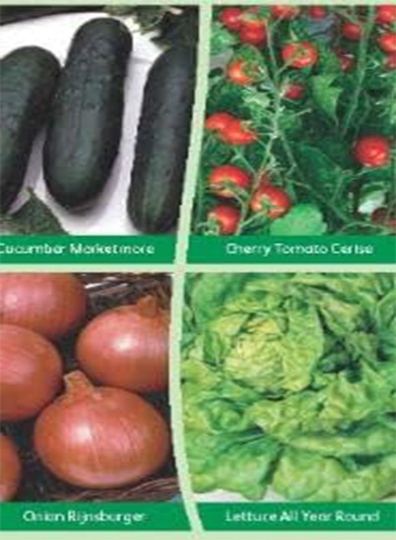 GGOOT 200 Seeds of 4 in 1 Grow Bag Favourites, Simply Garden Fresh Herb Fruit & Vegetable Seeds Grow Your Own Indoors Outdoors