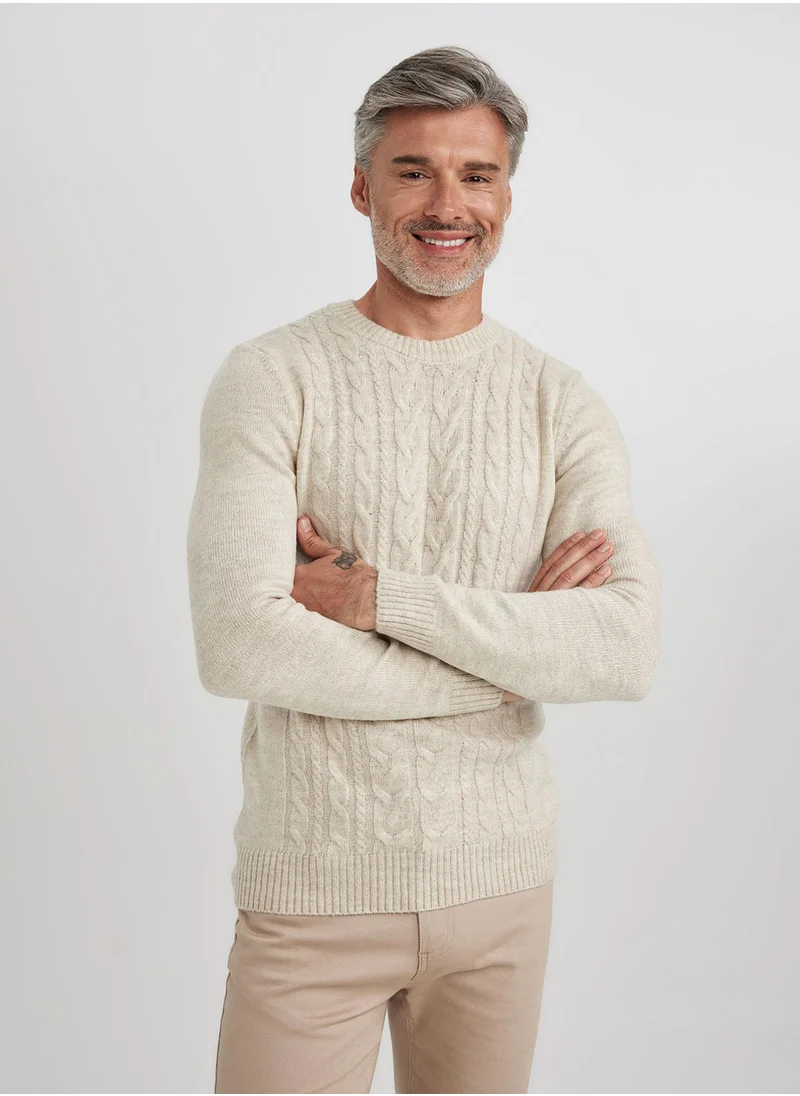 DeFacto Standard Fit Crew Neck Knit Sweater