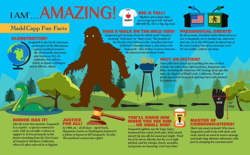 Madd Capp Sasquatch 1000 Piece Jigsaw Puzzle - 7005 - Unique Shaped Border  Deluxe Five-Sided Tamperproof Box  Includes Educational Madd Capp Fun Facts  Multicolor (Sasquatch 1000/7005) - Image 4