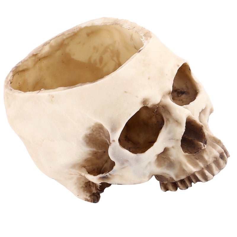 Resin Skull Pot: Large Size High Strength Eco-Friendly Resin - Wear & Corrosion Resistant Flower Planter Container for Halloween Parties, Bar Nightclub Decor & Home Planting - Image 1