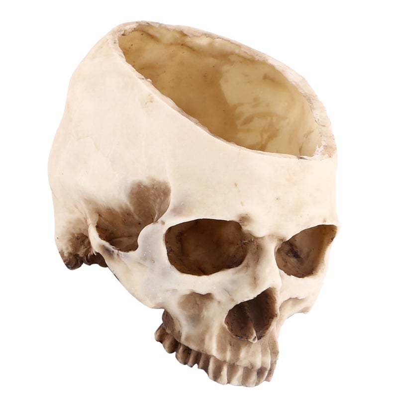 Resin Skull Pot: Large Size High Strength Eco-Friendly Resin - Wear & Corrosion Resistant Flower Planter Container for Halloween Parties, Bar Nightclub Decor & Home Planting - Image 2