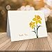 Little Notes by Comptime Daffodil Thank You Cards 24 Foldover Cards and Envelopes - Image 4