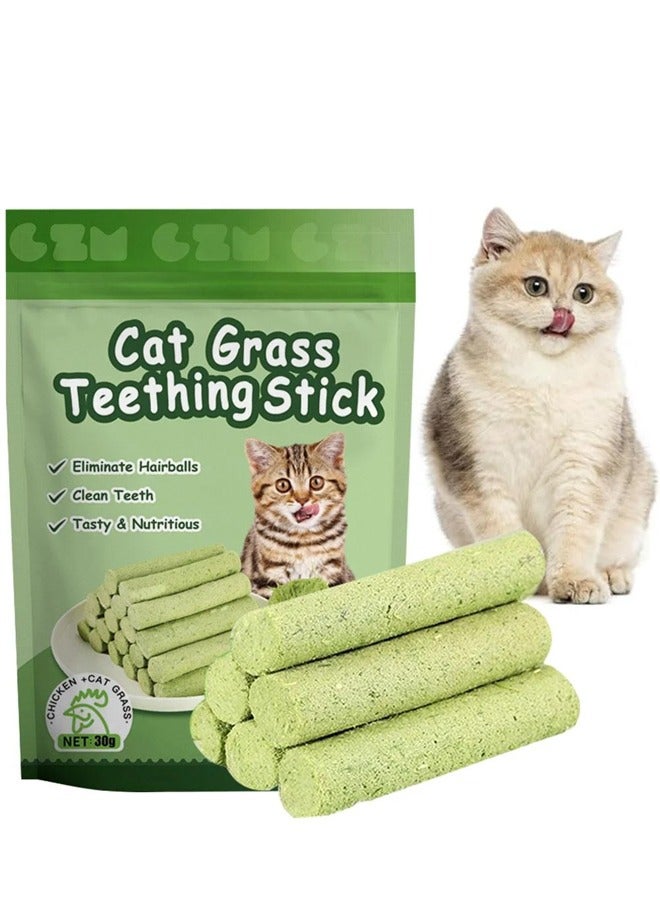 6 Pcs Cat Grass Sticks for Indoor Safe Teeth Cleaning Cat Toothbrush,Cat Chew Toy for All Breeds - Image 1