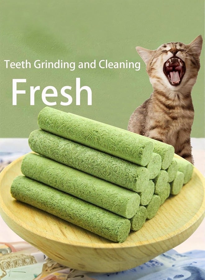 6 Pcs Cat Grass Sticks for Indoor Safe Teeth Cleaning Cat Toothbrush,Cat Chew Toy for All Breeds - Image 2