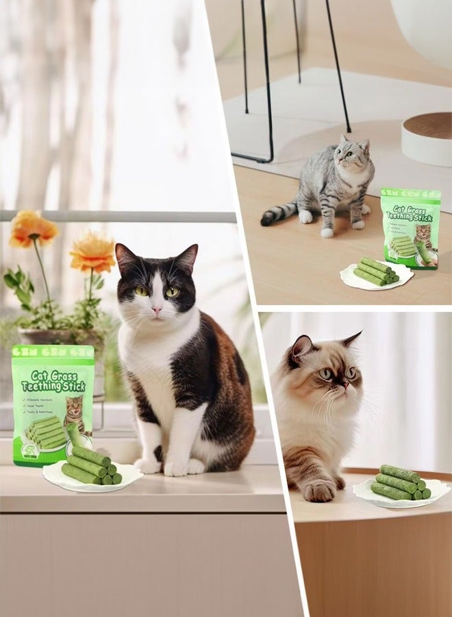 6 Pcs Cat Grass Sticks for Indoor Safe Teeth Cleaning Cat Toothbrush,Cat Chew Toy for All Breeds - Image 5