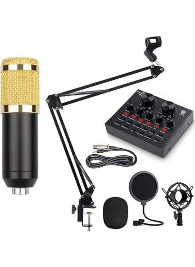 PROFESSIONAL  CONDENSER MICROPHONE  With Patented Audio Reference Companding For Crystal-clear Sound - Image 1