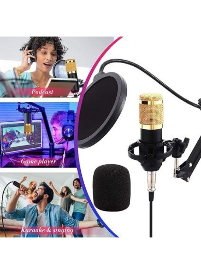 PROFESSIONAL  CONDENSER MICROPHONE  With Patented Audio Reference Companding For Crystal-clear Sound - Image 3
