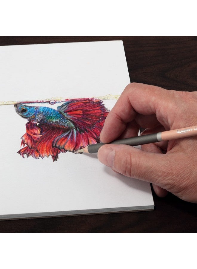 سيزان أقلام تلوين فاخرة من Creative Mark Cezanne، عبوة من 6 أقلام تلوين عالية الصبغة - أقلام تلوين للرسم والمزج والتلوين والمزيد - Image 4