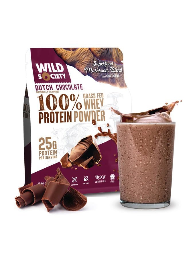 Premium 100% Grass Fed Whey Protein Powder + Superfood Mushrooms & Adaptogens - 25g Protein, Clean Protein Powder, 0 Added Sugar, Non GMO, Gluten Free - Dutch Chocolate - 17.9 oz