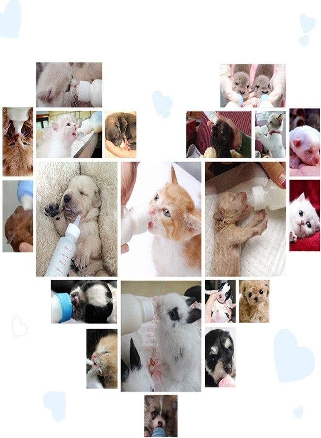 THE DDS STORE 60Ml Puppy,Cat,Kitten Nursing Kit For Feeding Newborn Pet Nursing Bottle With Replacement Nipple And Cleaning Brush - Image 4