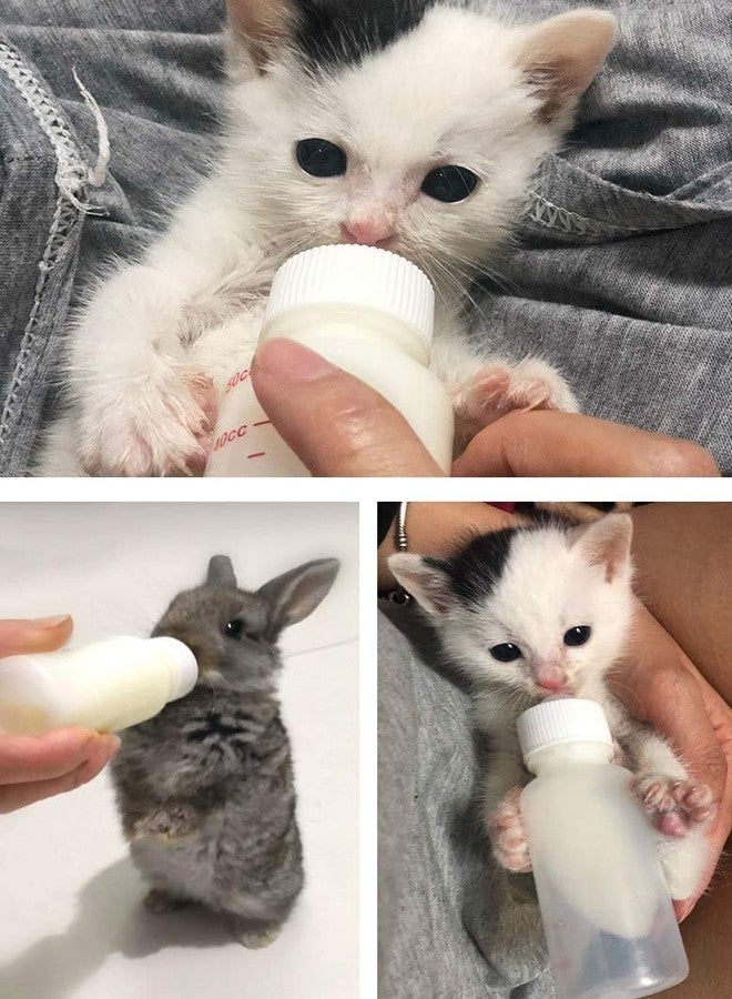THE DDS STORE 60Ml Puppy,Cat,Kitten Nursing Kit For Feeding Newborn Pet Nursing Bottle With Replacement Nipple And Cleaning Brush - Image 5