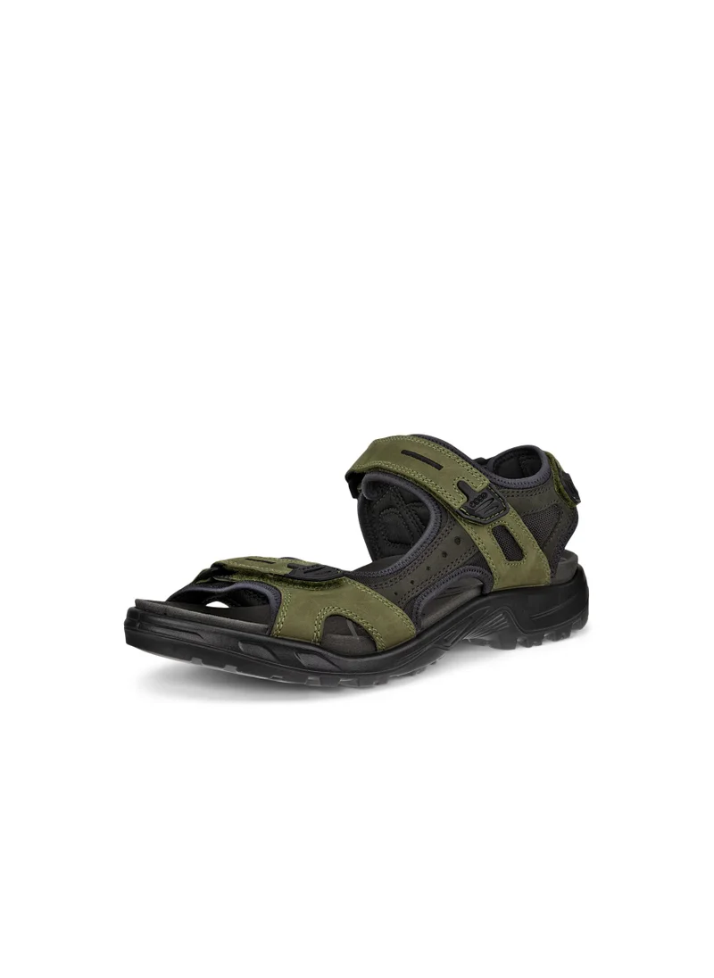 إيكو Offroad Acorn Peat
