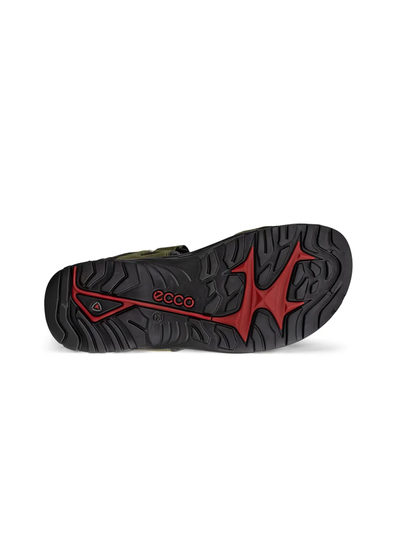 ECCO Offroad Acorn Peat