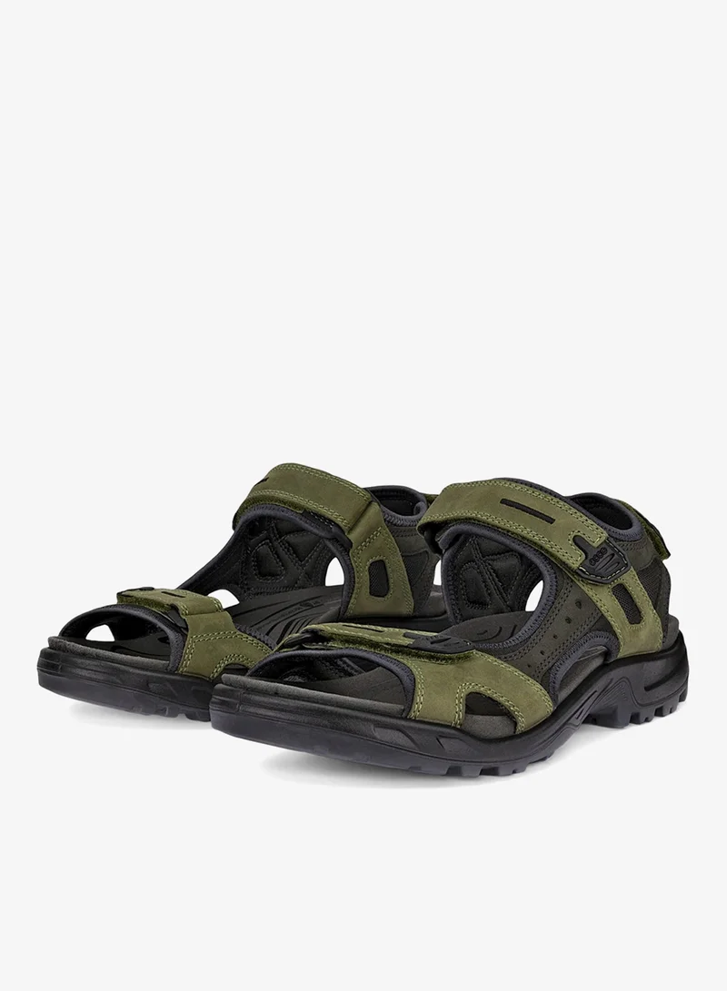 إيكو أوف رود أكورن بيت