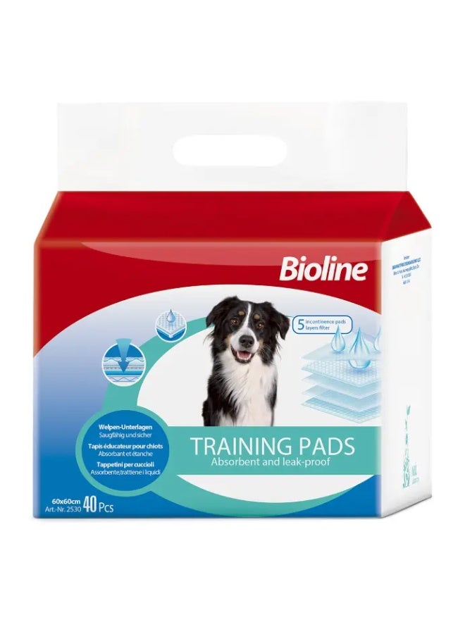 بايولاين وسادات تدريب بيولاين 60x60 سم، 40 قطعة [العدد - 40] - Image 1