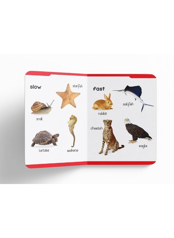 Early Learning Padded Book of Opposites : Padded Board Books For Children  - Image 3