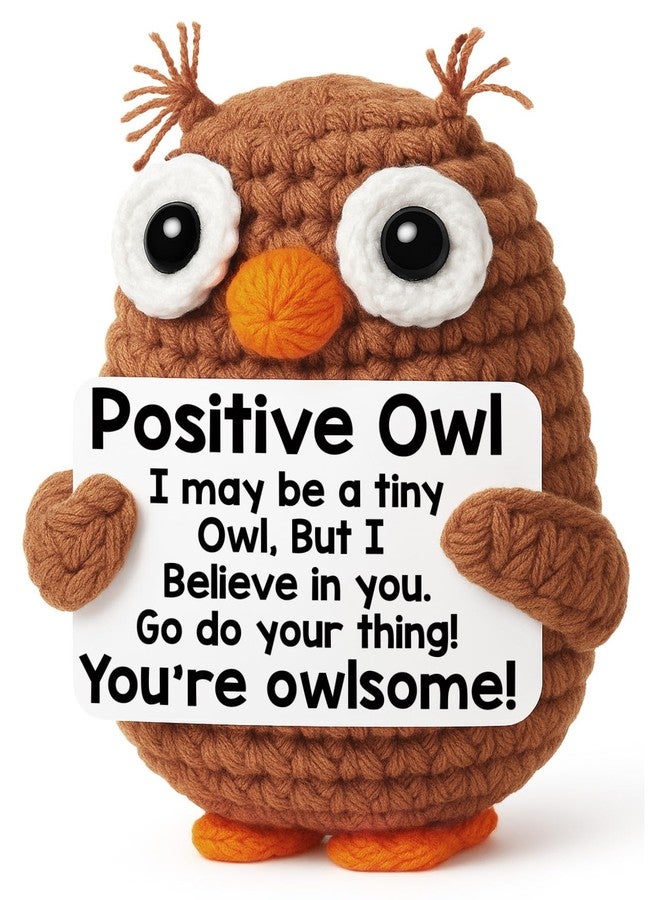 Hweijm Positive Crochet Owl Birthday Gifts for Women, Valentines Emotional Inspirational Support Gifts for Her Friend Mom Coworkers Teacher, Encouragement New Job Gift Funny Handmade Crochet Owl Desk Decor - Image 1