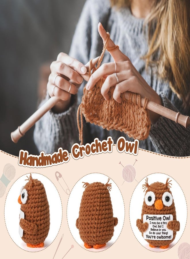 Hweijm Positive Crochet Owl Birthday Gifts for Women, Valentines Emotional Inspirational Support Gifts for Her Friend Mom Coworkers Teacher, Encouragement New Job Gift Funny Handmade Crochet Owl Desk Decor - Image 3