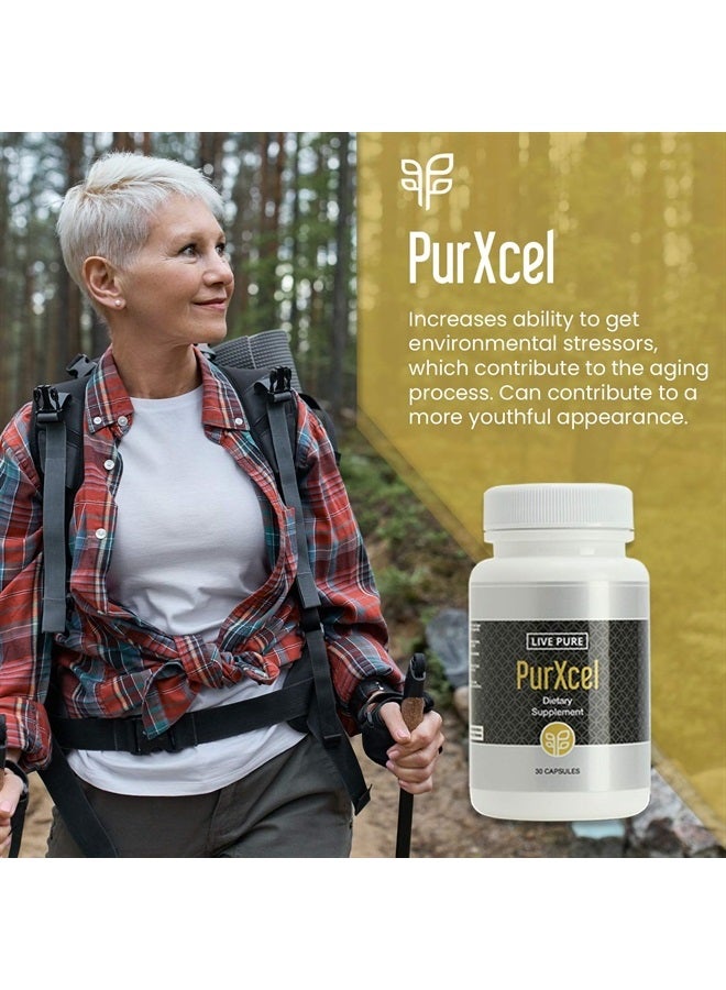 PURE مكملات غذائية بيور بوركسل - 30 كبسولة - Image 3