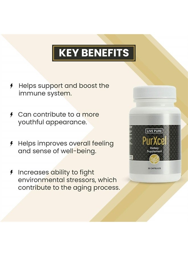 PURE مكملات غذائية بيور بوركسل - 30 كبسولة - Image 2