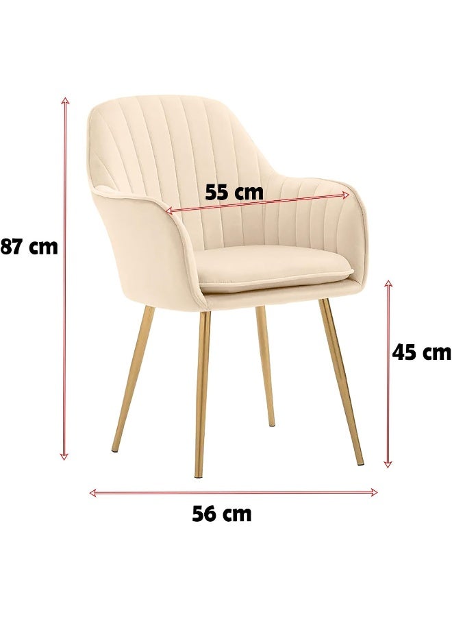 Poppins HOME Modern Nordic Design Cozy Light Luxury Simple And Durable Velvet Dining Chair in Gold Leg (Brown) - Image 2