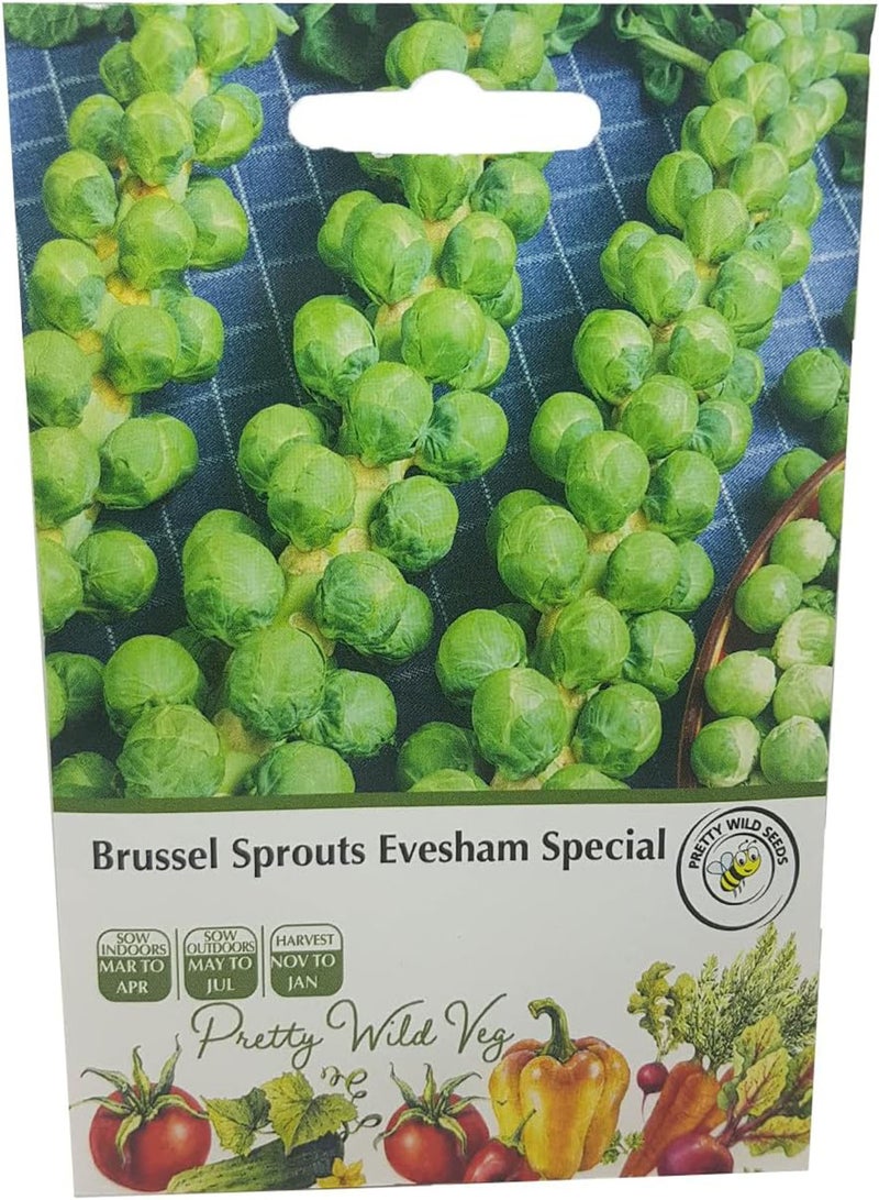 GGOOT Brussel Sprout Evesham Special Seeds - Image 1