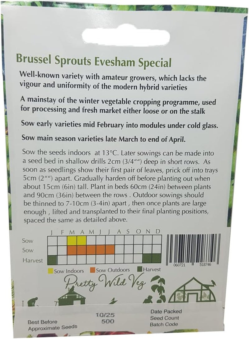 GGOOT Brussel Sprout Evesham Special Seeds - Image 2