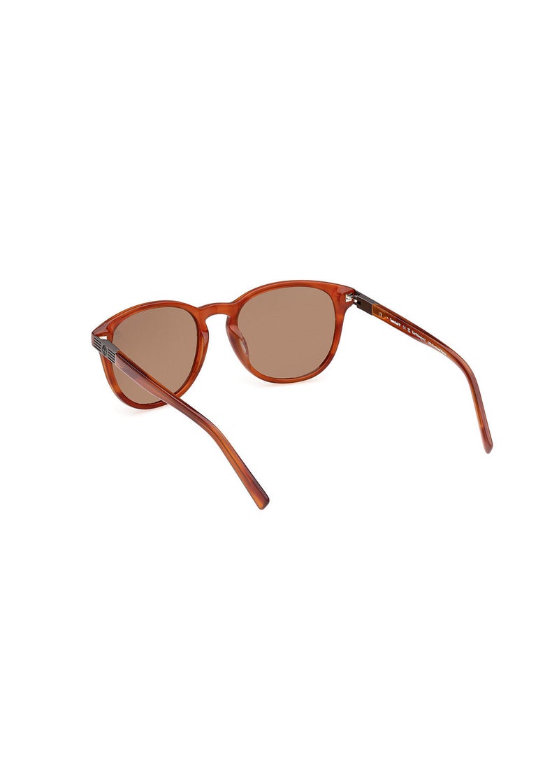 Timberland Sunglasses For Men TB931947H53  - Image 3