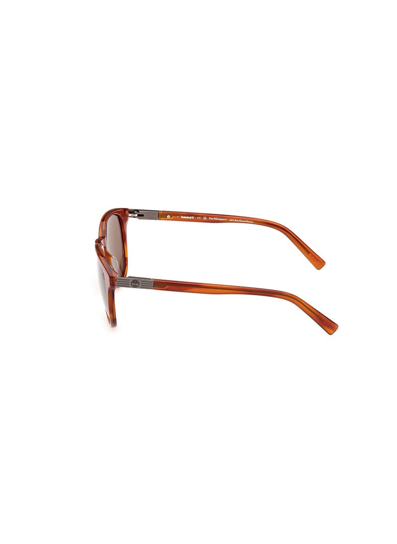 Timberland Sunglasses For Men TB931947H53  - Image 2