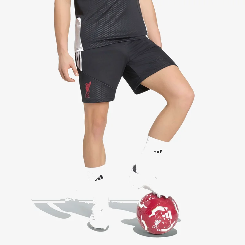 Adidas Originals  Liverpool FC 26/27 Tiro Training Shorts for Men | Best Price UAE