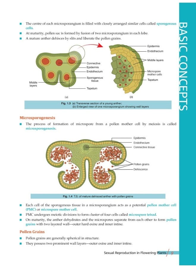 Xam idea Biology Book Class 12 | CBSE Board | Chapterwise Question Bank | 2022-23 Exam  - Image 4