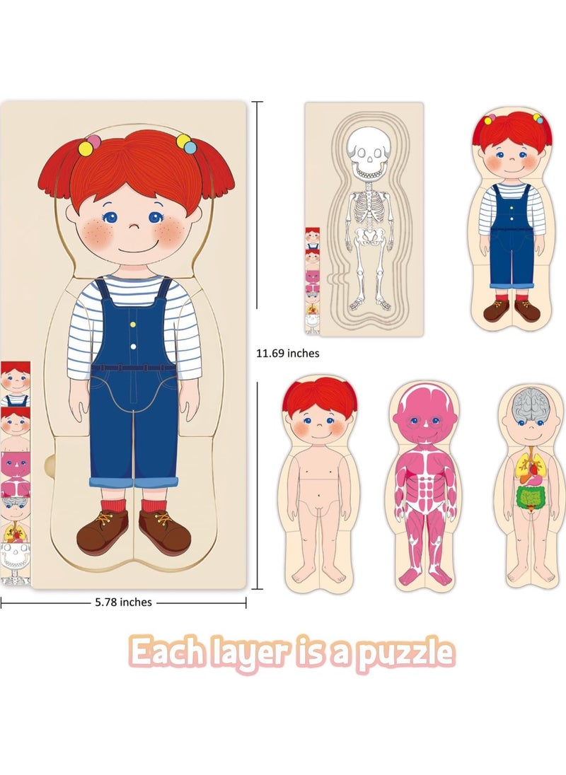 TOY GARDEN Wooden My Body Puzzle for Toddlers & Kids, Girls Montessori Anatomy Puzzle Kid Play Set,Anatomy for Kids,Preschool Game Learning Human Body Skeleton Toys for Kids Ages 3-7 (Girl)  - Image 2
