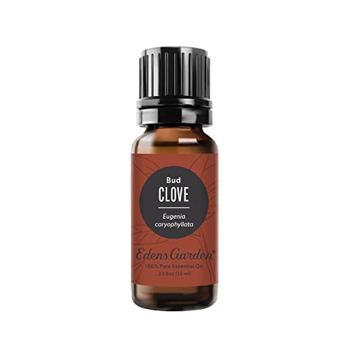 Edens Garden Clove- Bud Essential Oil- 100% Pure Premium Grade, Undiluted, Natural, Therapeutic, Aromatherapy, The Best for Diffuser, Candle, Laundry, Humidifiers 10 ml (.33 fl oz) - Image 1