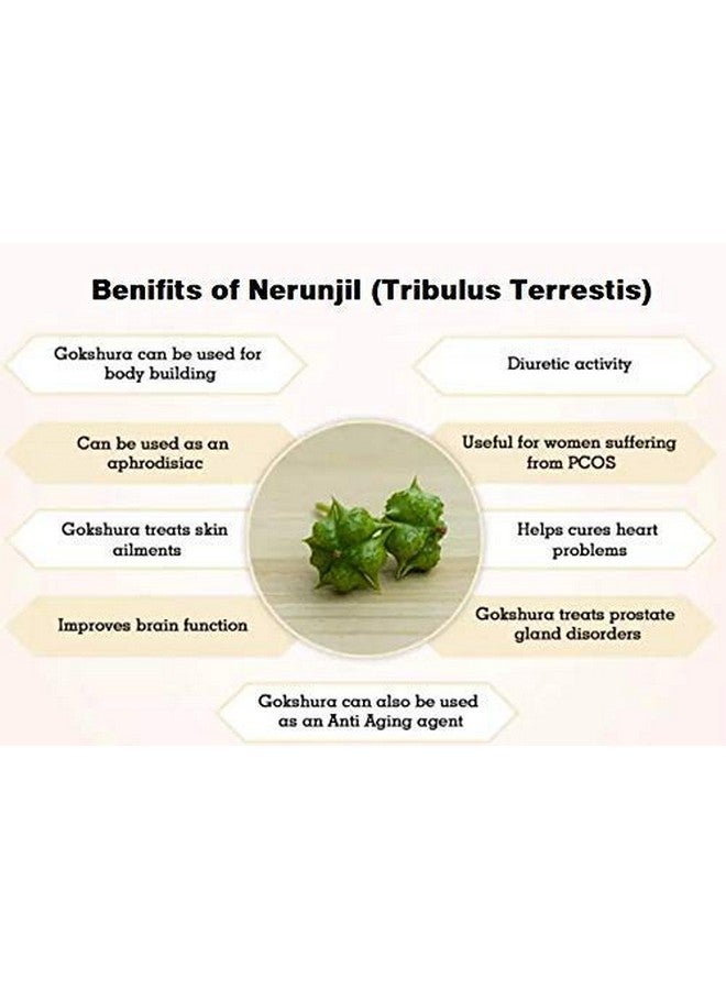 Neotea Tribulus Terrestis | Nerunjil Powder | 300gm Pack of 1 - Image 5