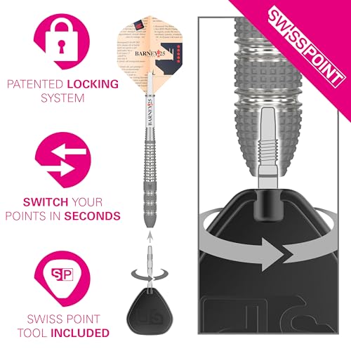 Target Darts Raymond Van Barneveld RVB 25 Year Edition 23G 95% Tungsten Swiss Point Steel Tip Darts Set - Image 4