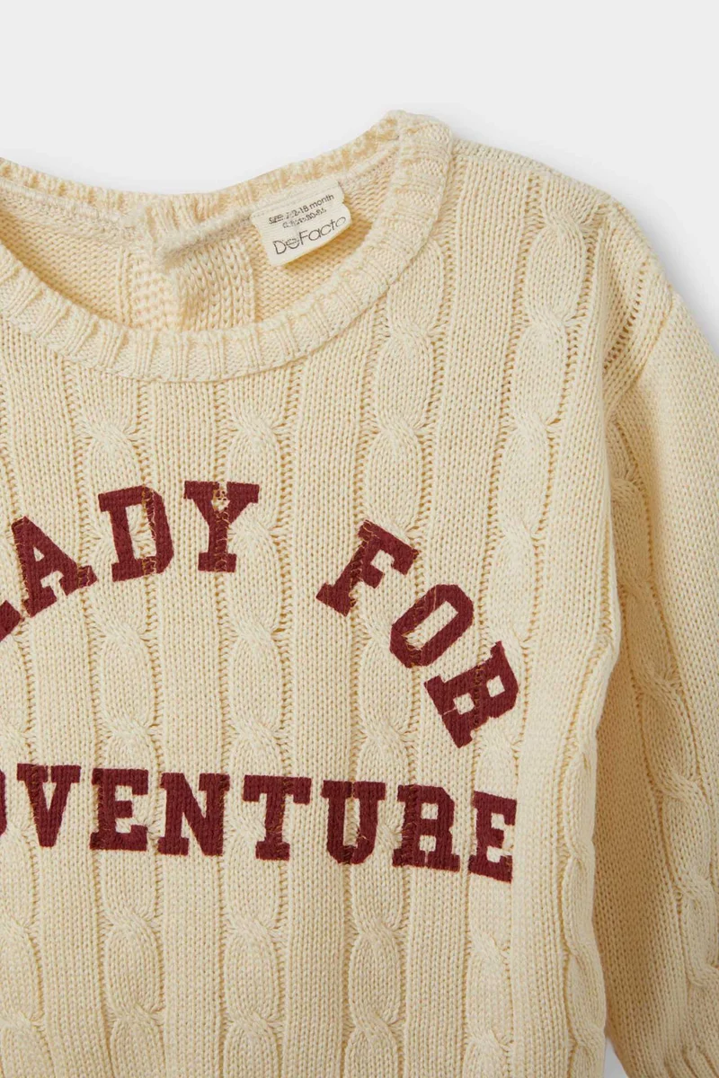 ديفاكتو Baby Boy Crew Neck Printed Pullover