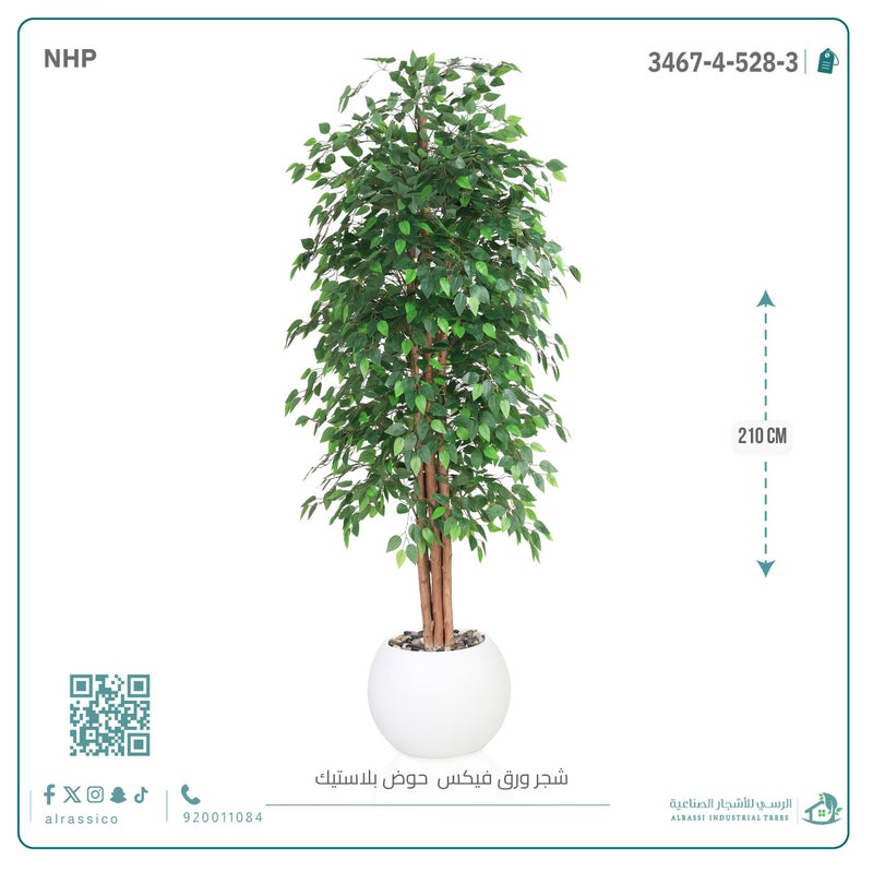 Alrassi Artificial Ficus Leaf Tree in Round Plastic Pot 210 cm - Image 1