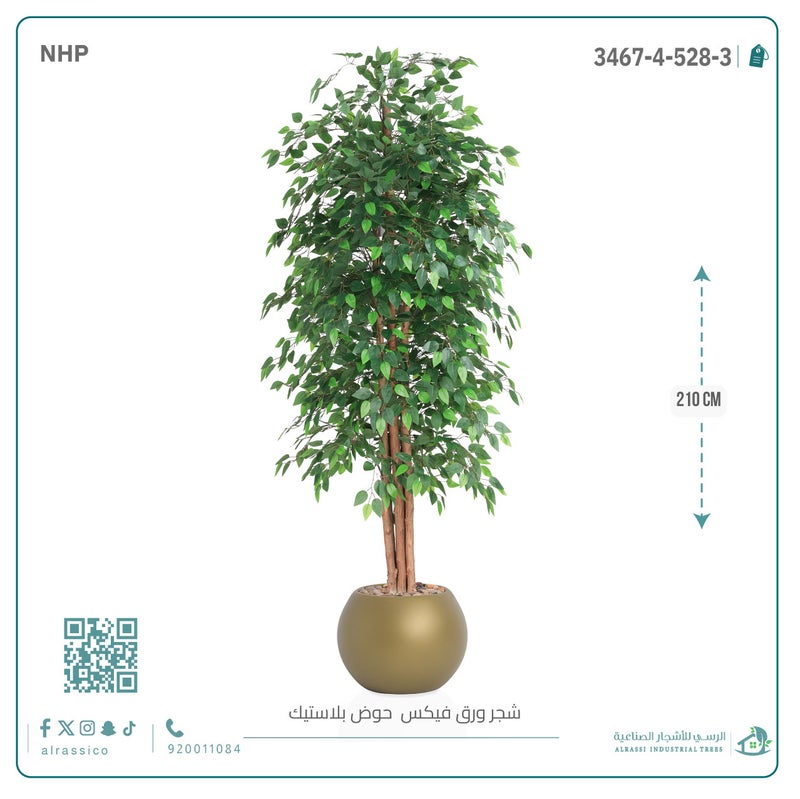Alrassi Artificial Ficus Leaf Tree in Round Plastic Pot 210 cm - Image 2