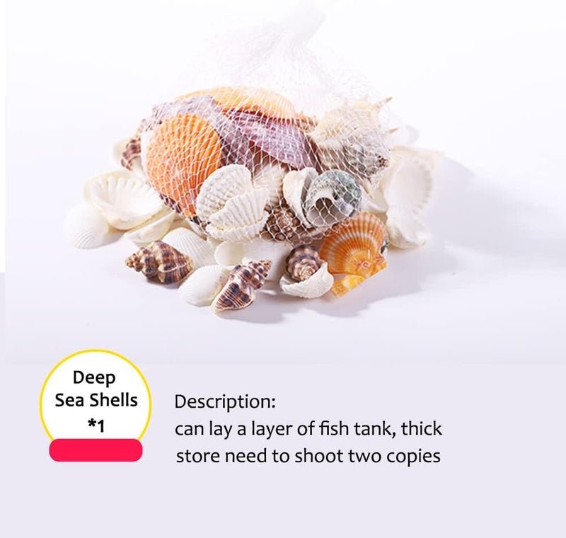 Neostyle Betta Fish Tank Accessories,Deep-Sea Shells,Small Transparent Fish Bowl Row Aquarium Stackable Cube Hexagon Tank(Fish Tank Accessories, Deep-Sea Shells*1Bag) - Image 2