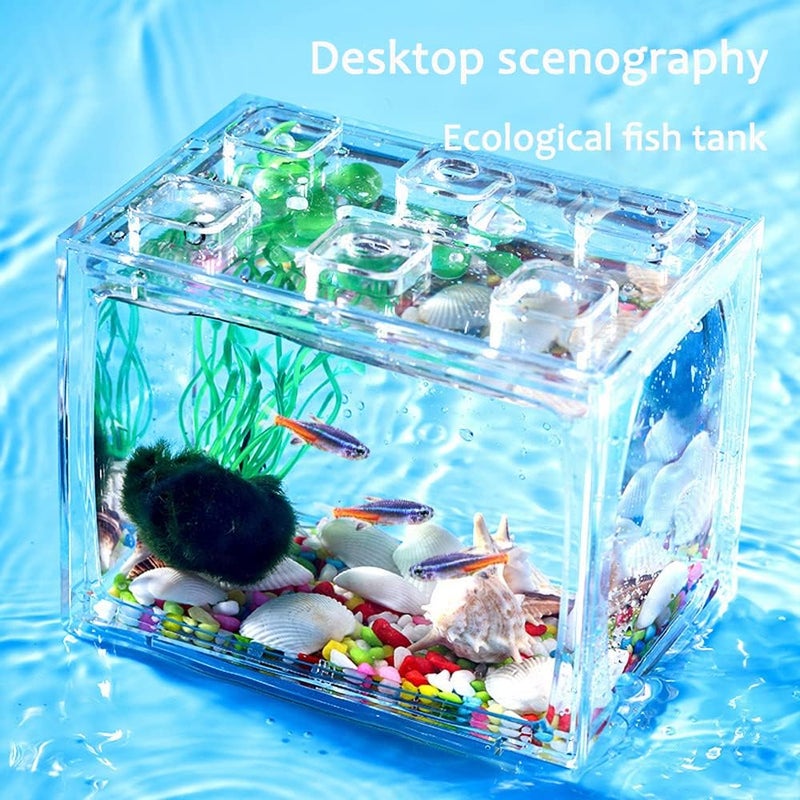 Neostyle Betta Fish Tank Accessories,Deep-Sea Shells,Small Transparent Fish Bowl Row Aquarium Stackable Cube Hexagon Tank(Fish Tank Accessories, Deep-Sea Shells*1Bag) - Image 4
