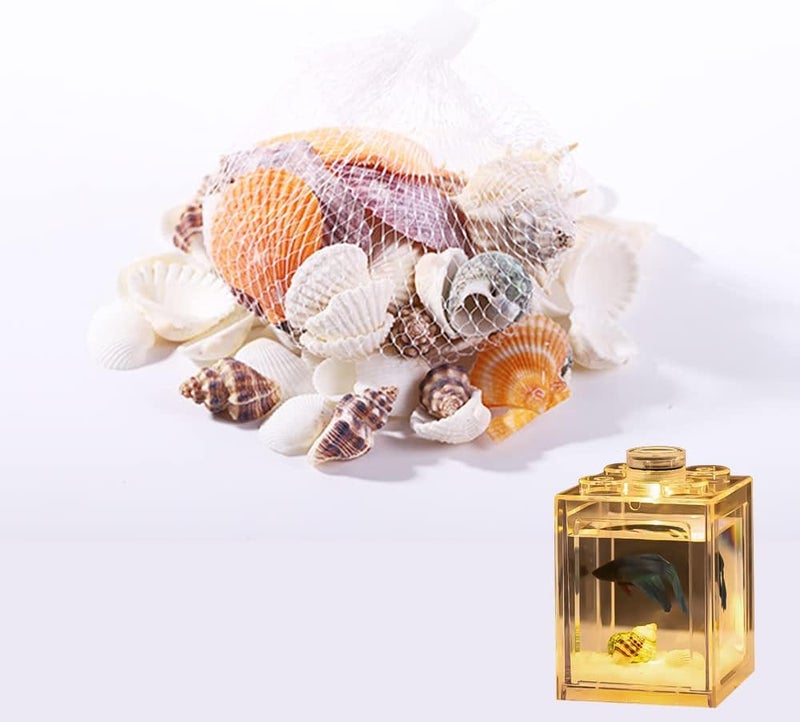 Neostyle Betta Fish Tank Accessories,Deep-Sea Shells,Small Transparent Fish Bowl Row Aquarium Stackable Cube Hexagon Tank(Fish Tank Accessories, Deep-Sea Shells*1Bag) - Image 1