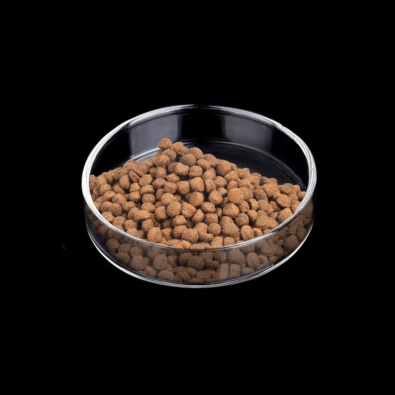 WEAVERBIRD 60mm Aquarium Shrimp Feeder Dish Glass Fish Tank Feeding Bowls Round Clear Dishes Tray - Image 4