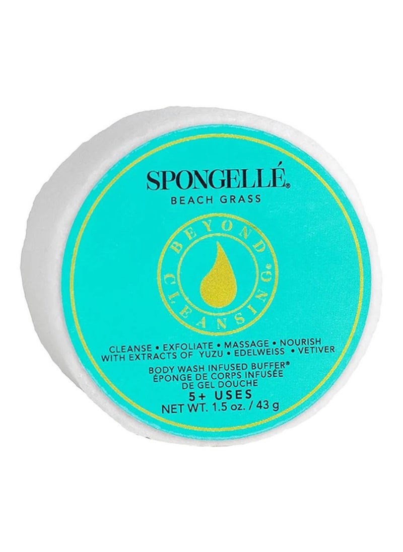 spongelle Spongelle Spongette - Beach Grass 5+ Washes 