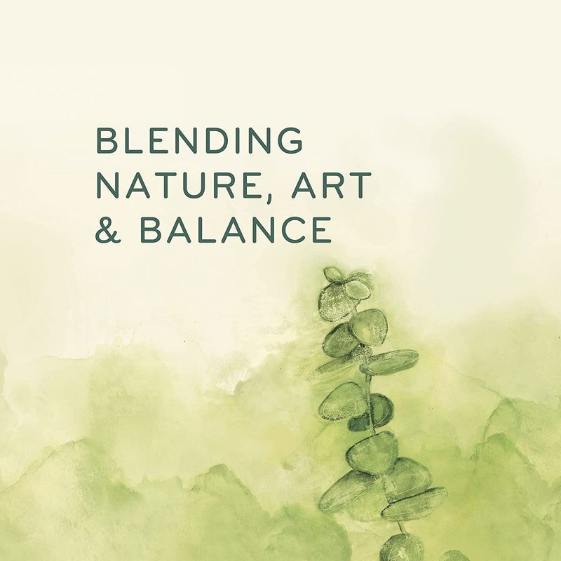 Thymes Countertop Spray - 16.5 Fl Oz - Fresh-Cut Basil - Image 5