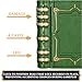 lynx MTG Commander EDH Command ZoneTray for Magic The Gathering With Damage Cast Life Counters Store your Commander Decks Dice Tokens inside up to 30 Sleeved Cards MTG Accessories Gift Green - Image 4