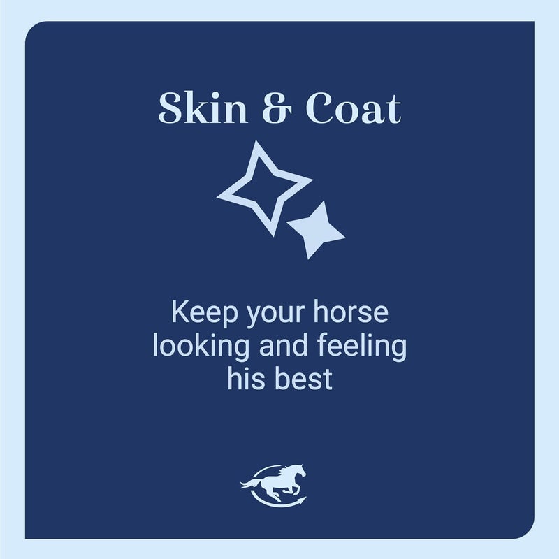 SmartEquine CocoSoya Oil | Oil for Skin and Coat | Contains Soybean and Coconut Oil for Overall Coat Shine and Horse Health | Nourishing Fatty Acids for a Lustrous Appearance | 1 Gallon - Image 3