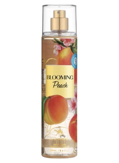 Blooming Peach Fruity Body Mist For Women - 250 ML - pzsku/Z2FA5E19BC01F925FDA64Z/45/_/1740842152/ebe04b7a-4a43-40c2-814e-f1482c9ae576