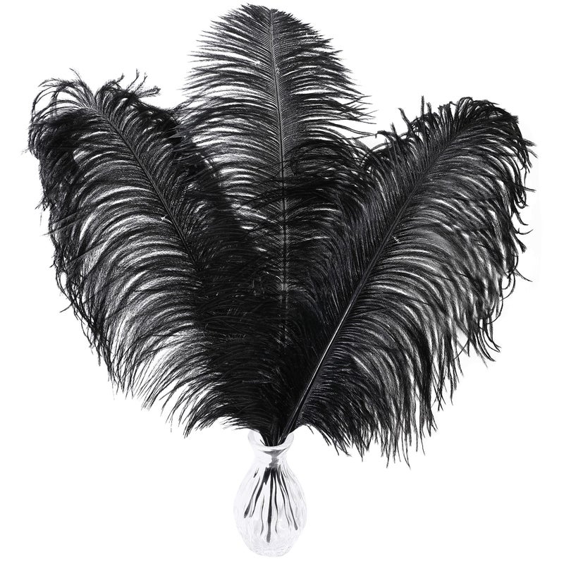Larryhot Black Ostrich Feathers Bulk 1618 inch 10pcs Feathers for VaseWedding Party Centerpieces and Home Decorations Black
